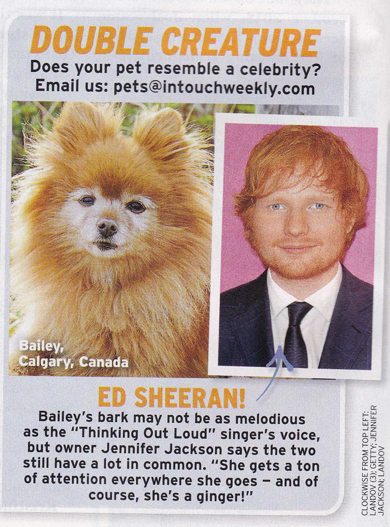 Illustration for article titled This Week In Tabloids: Taylor and Calvin Will Soon Welcome a Baby to the Stage